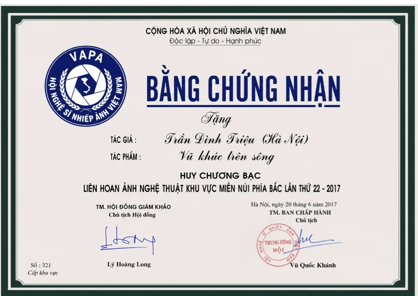 VAPA Silver Medal 2017 certificate